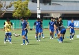 250419-p10s.jpg