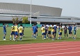 250419-p53s.jpg