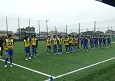 250510-p53s.jpg