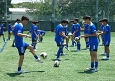 2506282-p01s.jpg
