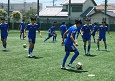 2506282-p17s.jpg