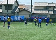 2506282-p30s.jpg