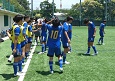 2506282-p49s.jpg