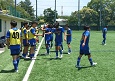 2506282-p51s.jpg