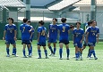 2506282-p64s.jpg