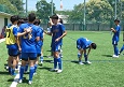 2506282-p70s.jpg