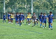 2506282-p76s.jpg