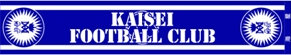 kaiseisoccer_b11-pb0090320.jpg