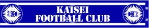 kaiseisoccer_b11003032.jpg